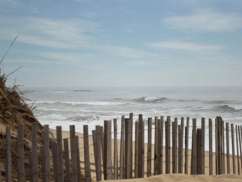 A Wave Inn - Montauk image 49